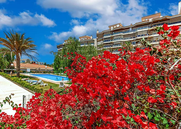 Tenerifeopenhome Comfortable Family Arona (Tenerife)